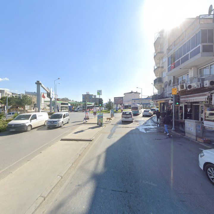 Fotoğraf 12