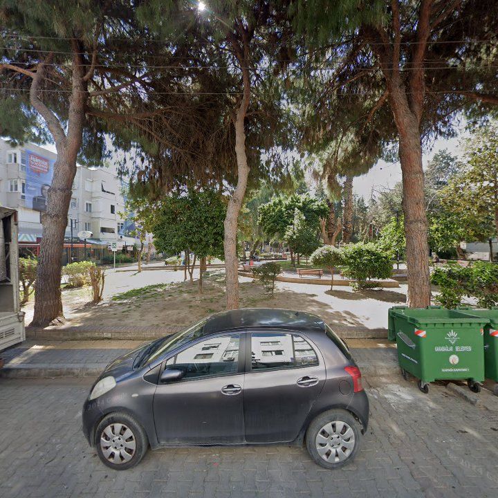 Fotoğraf 8