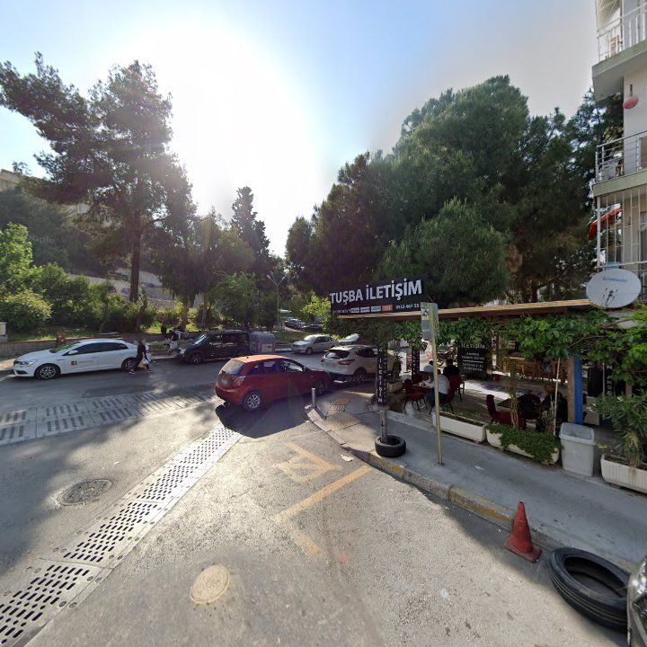 Fotoğraf 7