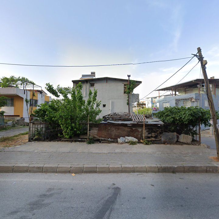 Fotoğraf 7