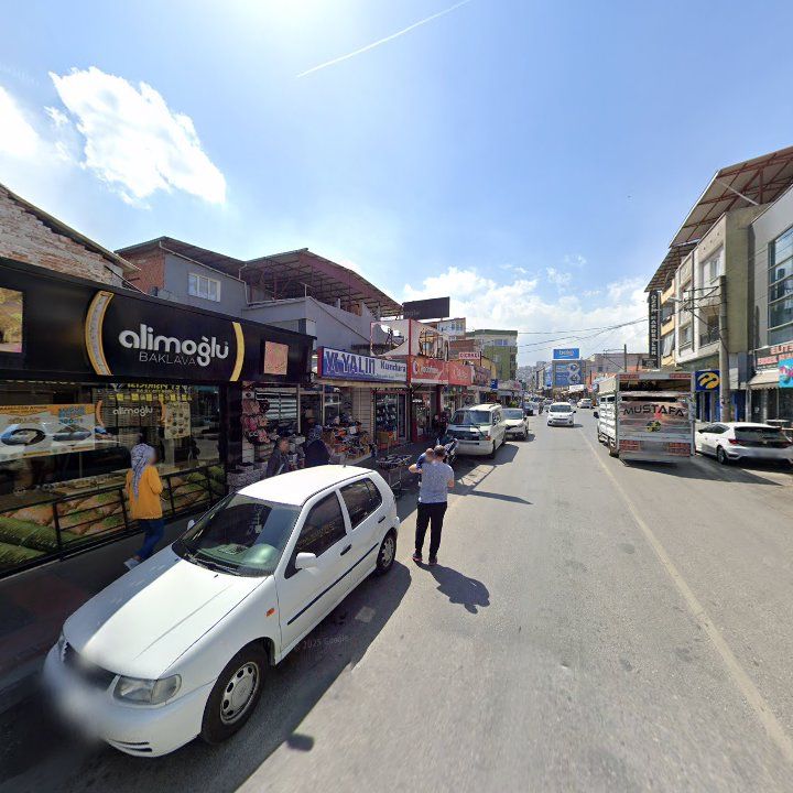 Fotoğraf 7
