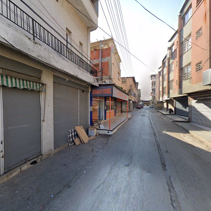 Fotoğraf 6