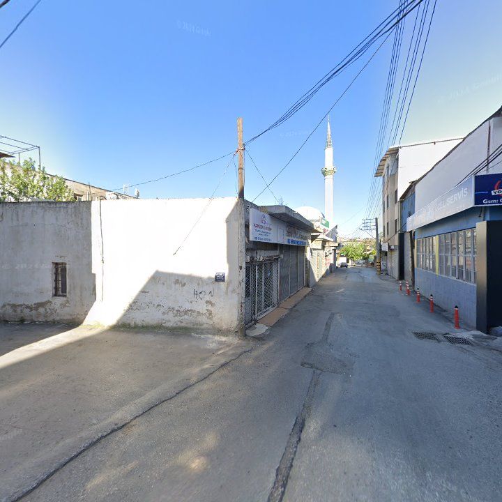 Fotoğraf 5