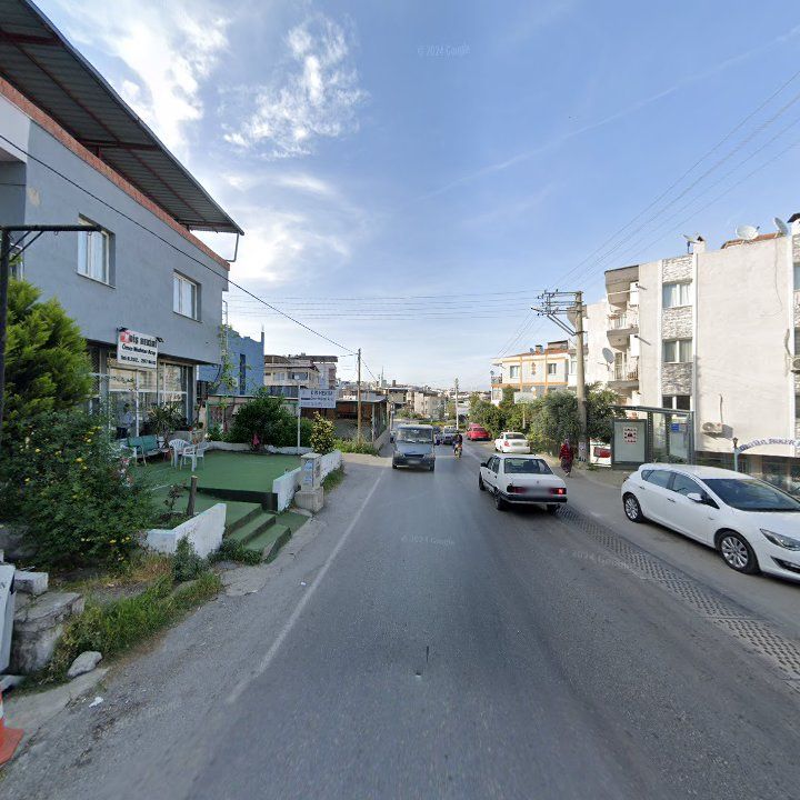 Fotoğraf 11