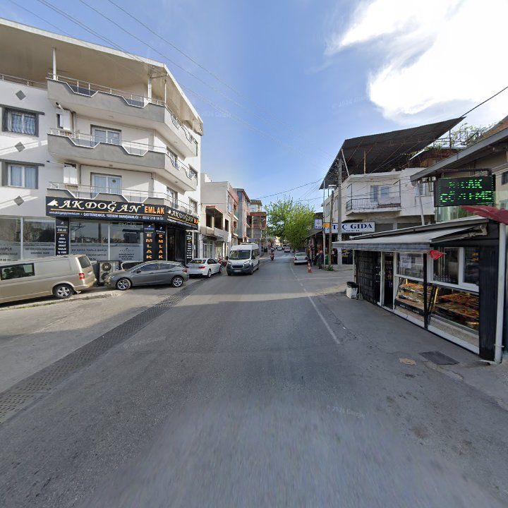 Fotoğraf 13