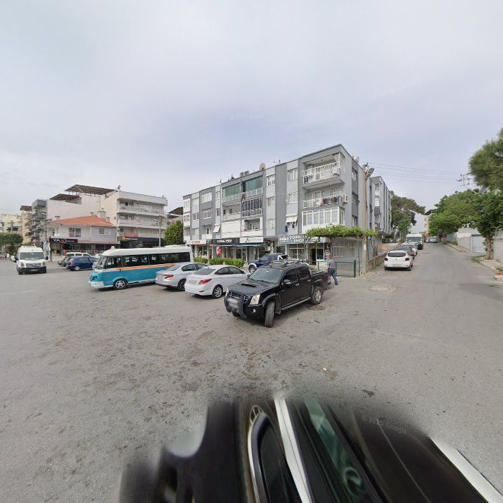 Fotoğraf 12