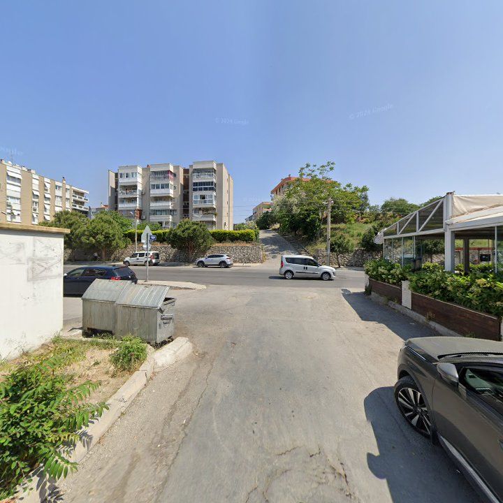 Fotoğraf 12