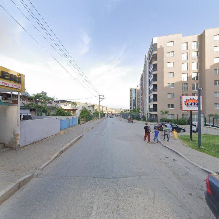 Fotoğraf 10