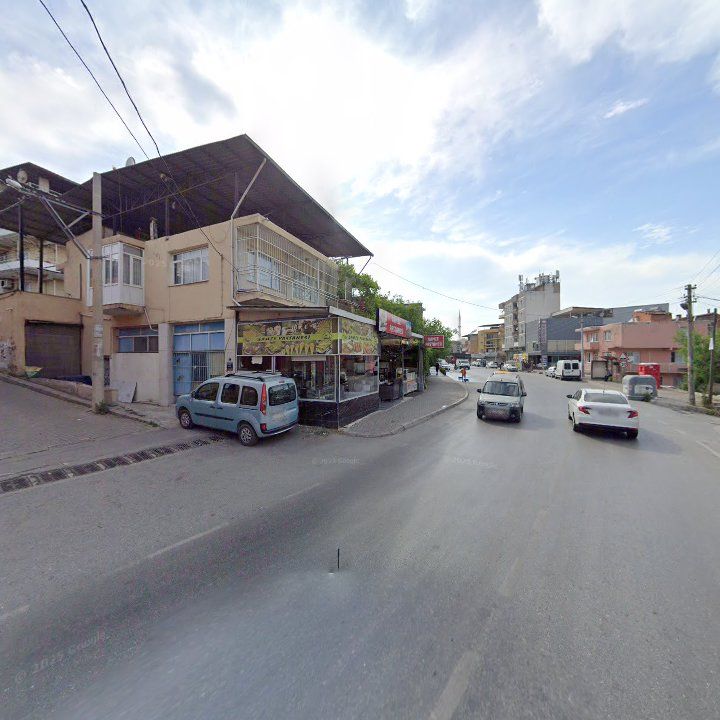 Fotoğraf 9