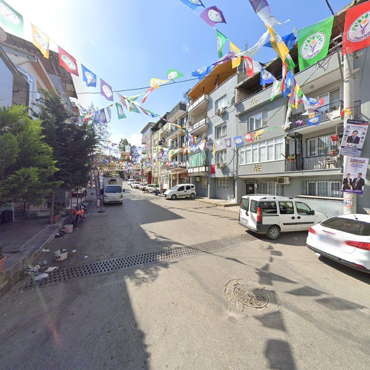 Fotoğraf 7