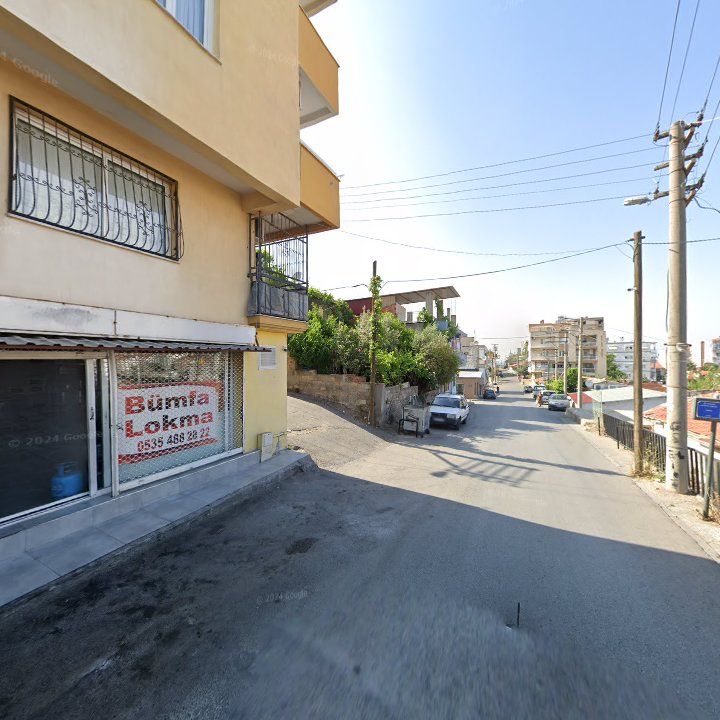 Fotoğraf 8