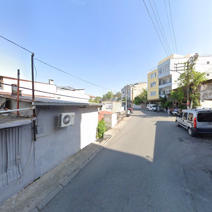 Fotoğraf 10
