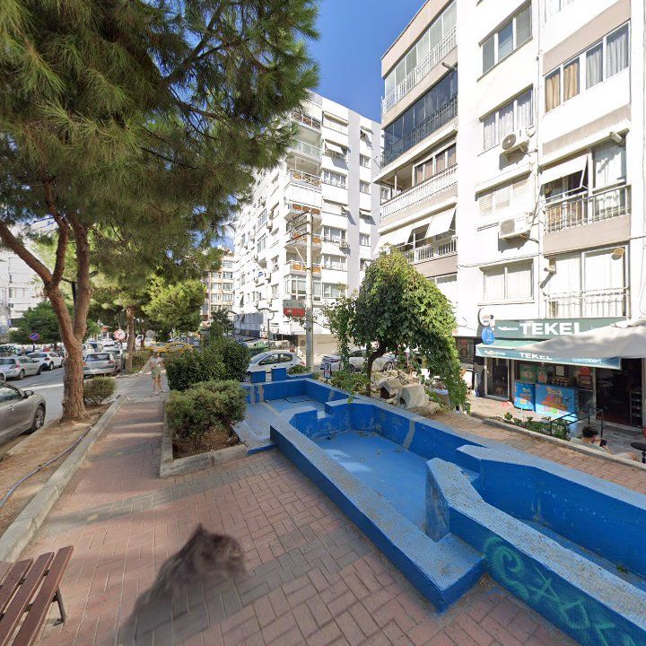 Fotoğraf 6
