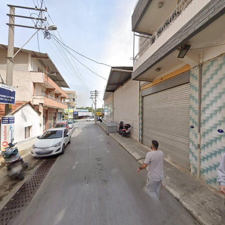 Fotoğraf 8