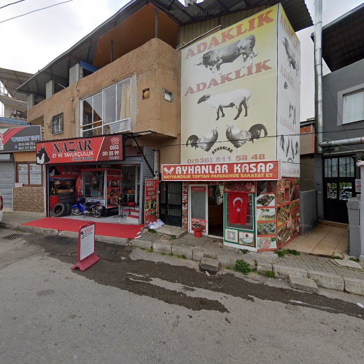 Fotoğraf 3