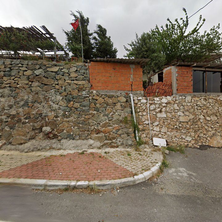 Fotoğraf 8
