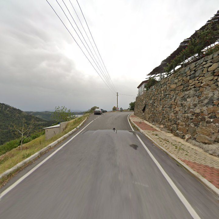 Fotoğraf 11