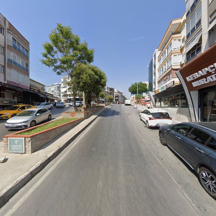 Fotoğraf 14