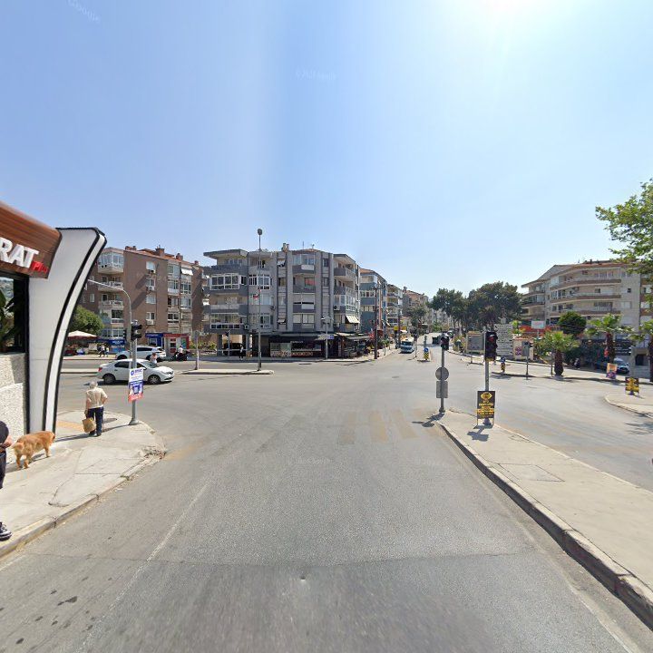 Fotoğraf 12