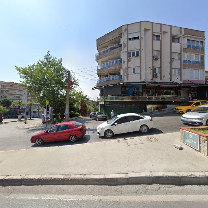 Fotoğraf 13