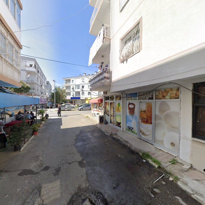 Fotoğraf 6