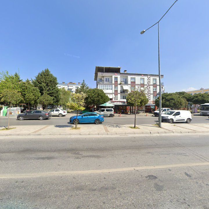 Fotoğraf 10