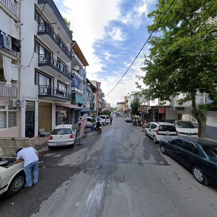 Fotoğraf 7