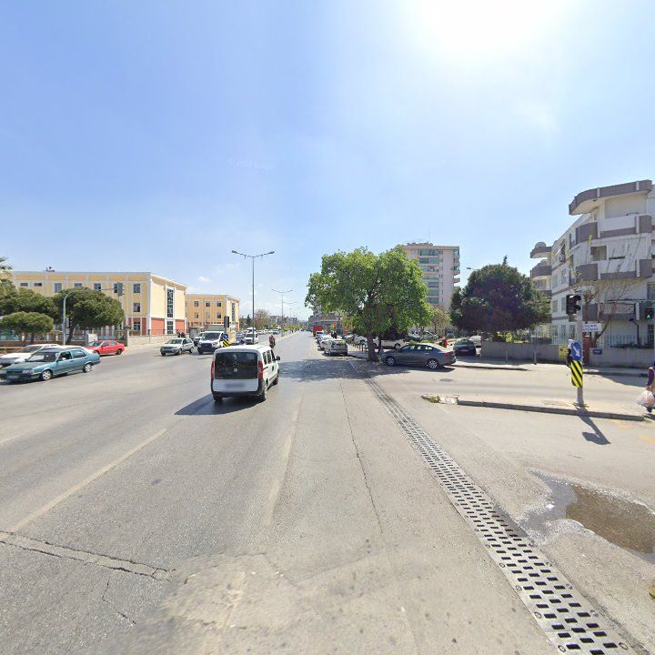 Fotoğraf 8
