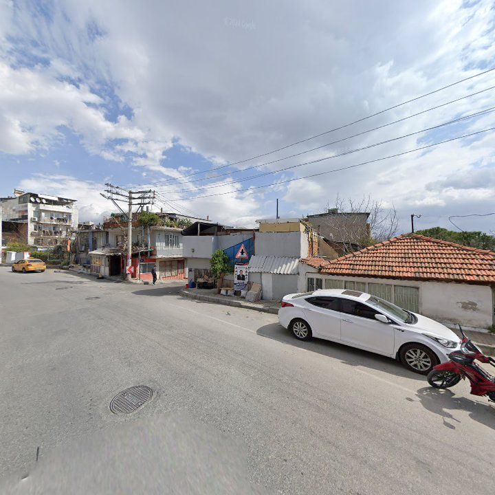 Fotoğraf 3