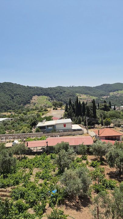 Fotoğraf 3