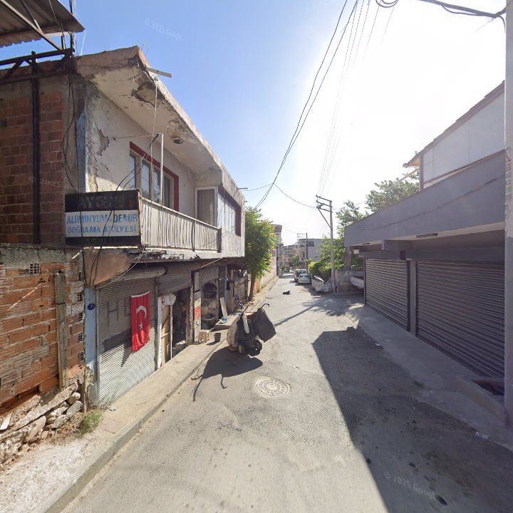 Fotoğraf 9