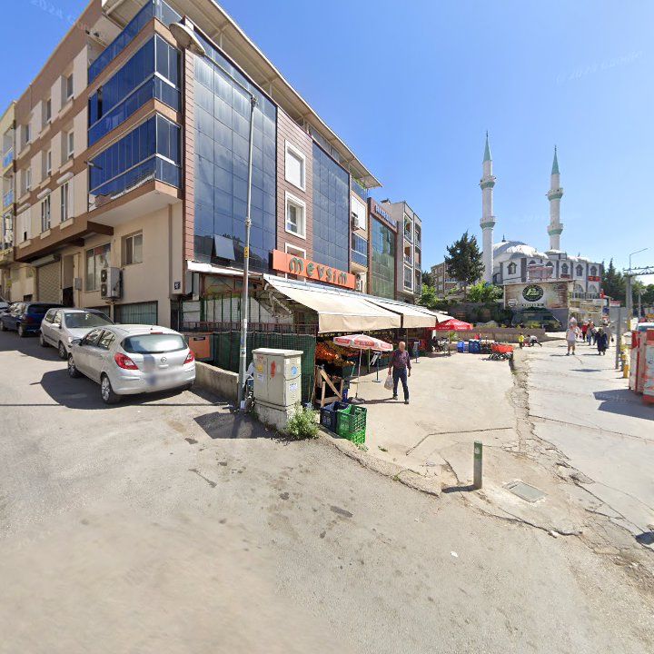 Fotoğraf 6