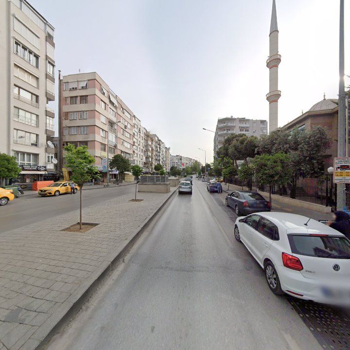 Fotoğraf 11