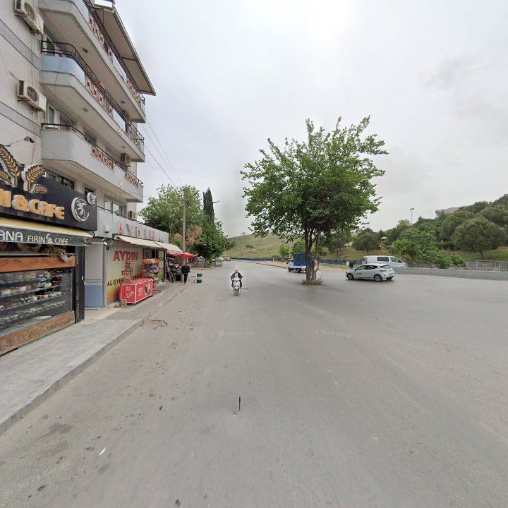 Fotoğraf 7