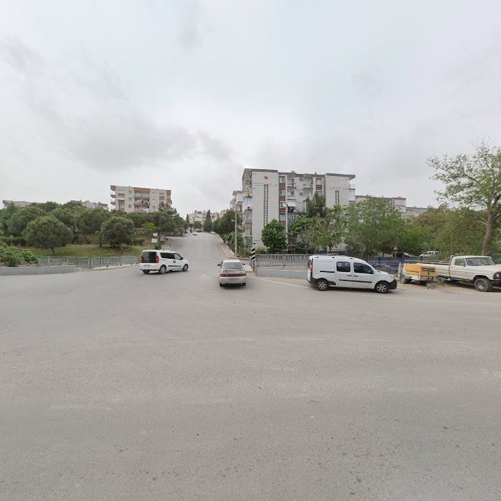Fotoğraf 8