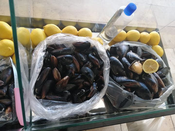 Midyeci baki