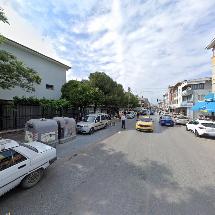 Fotoğraf 9