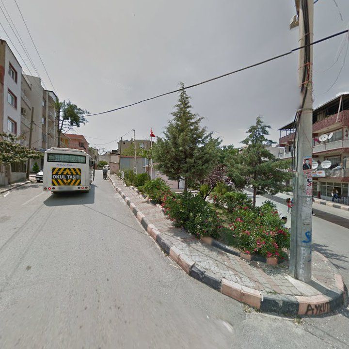 Fotoğraf 7
