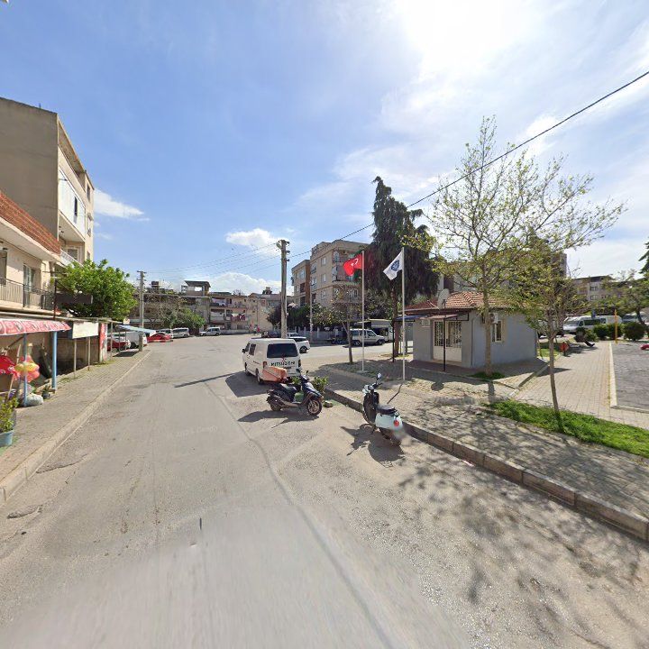 Fotoğraf 8