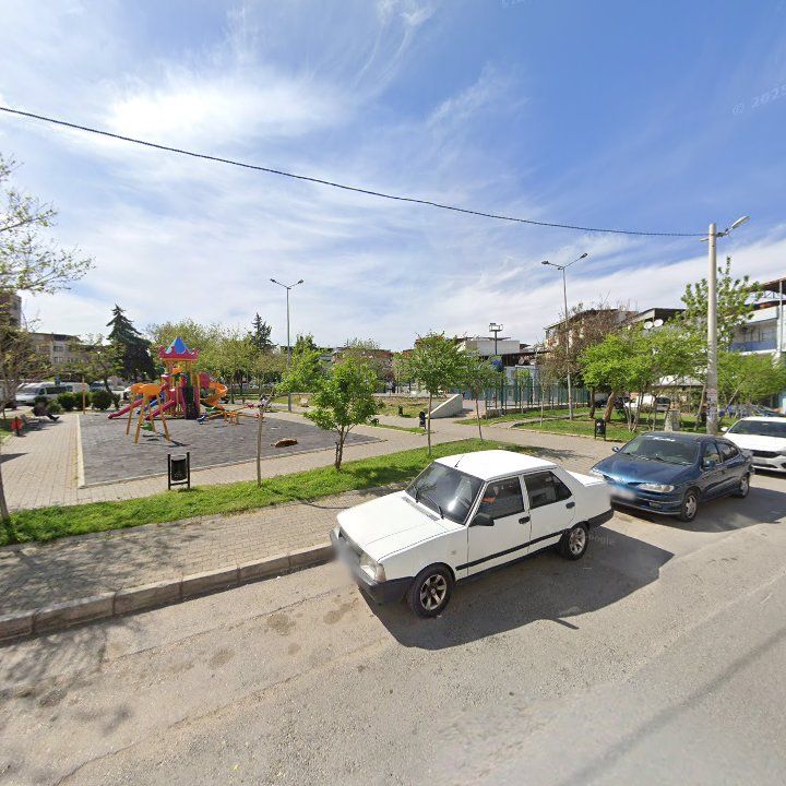 Fotoğraf 9