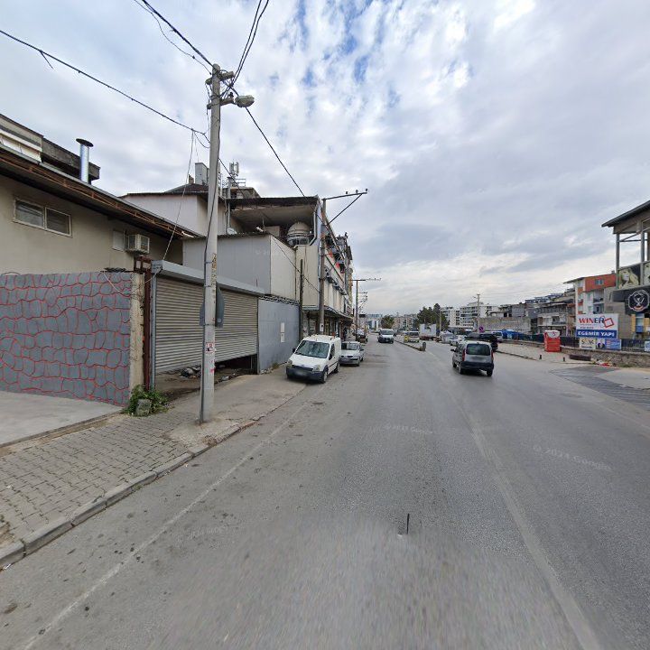 Fotoğraf 9