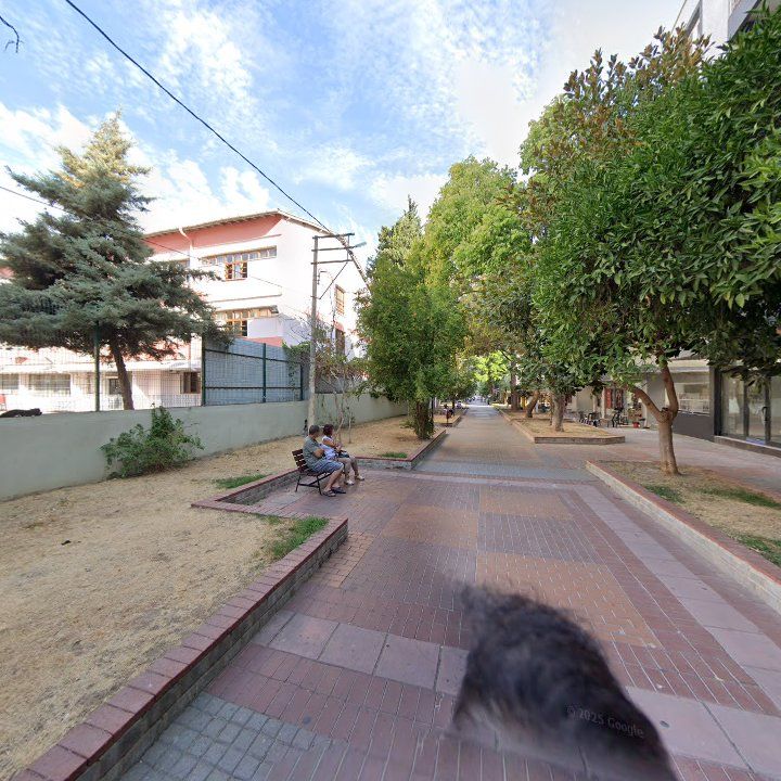 Fotoğraf 10