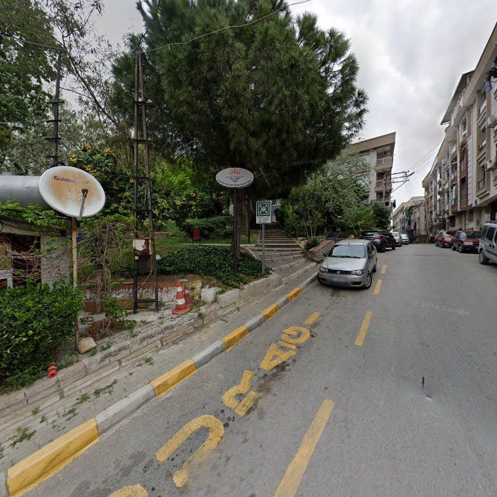 Fotoğraf 9