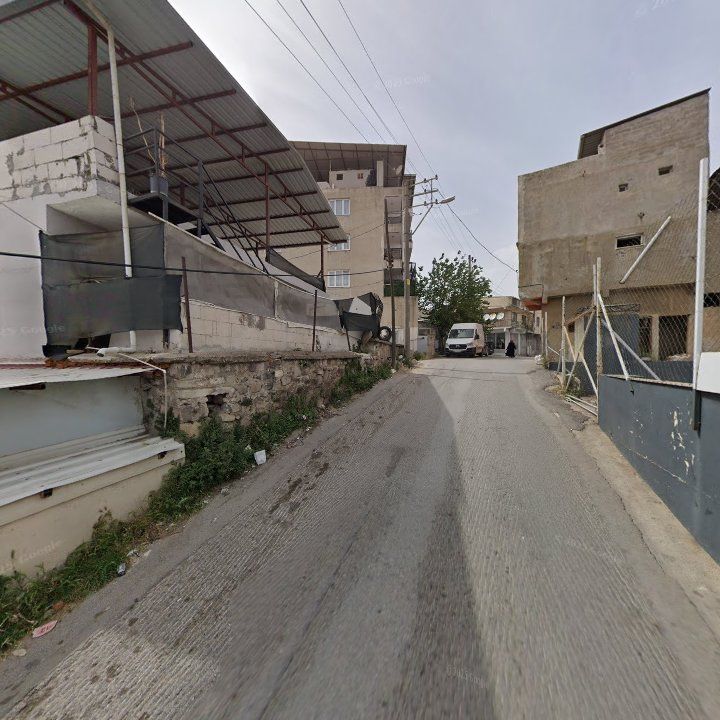 Fotoğraf 2