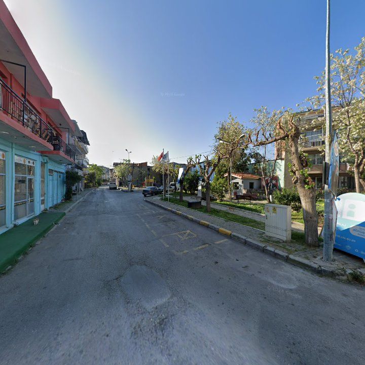 Fotoğraf 3