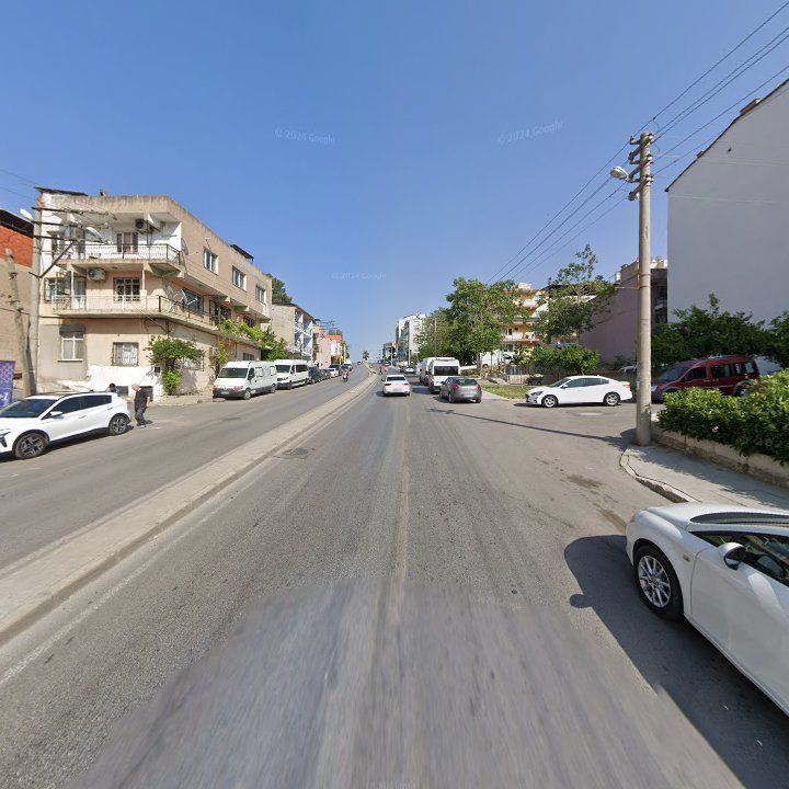 Fotoğraf 10