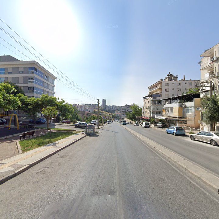 Fotoğraf 8