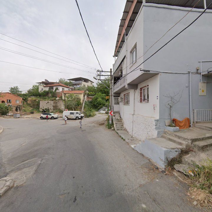 Fotoğraf 10