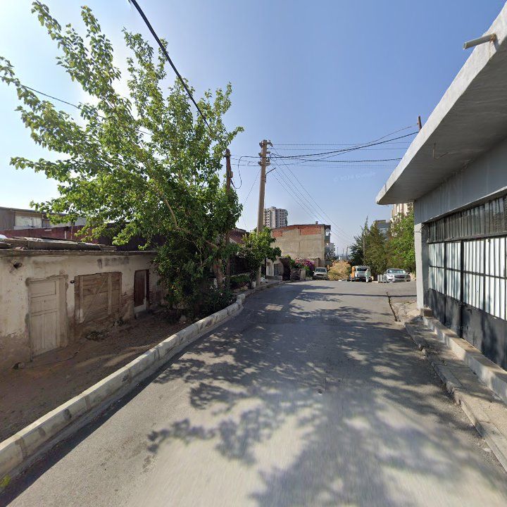 Fotoğraf 7