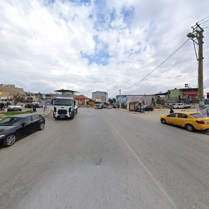 Fotoğraf 7